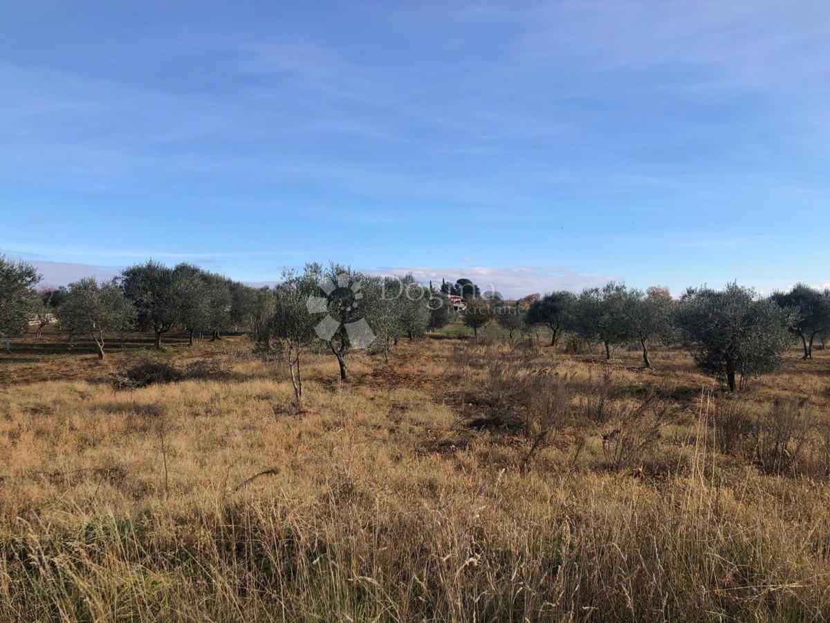 Terreno edificabile Umag, 9.375m2