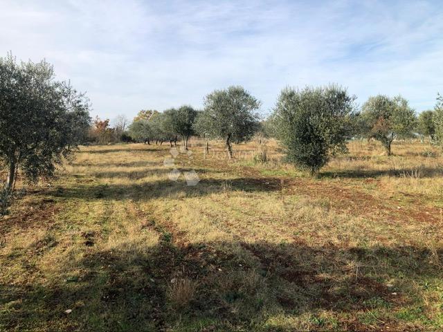 Terreno edificabile Umag, 9.375m2