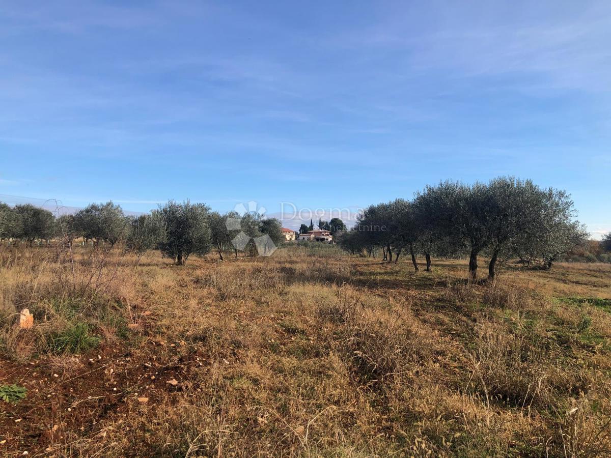 Terreno edificabile Umag, 9.375m2