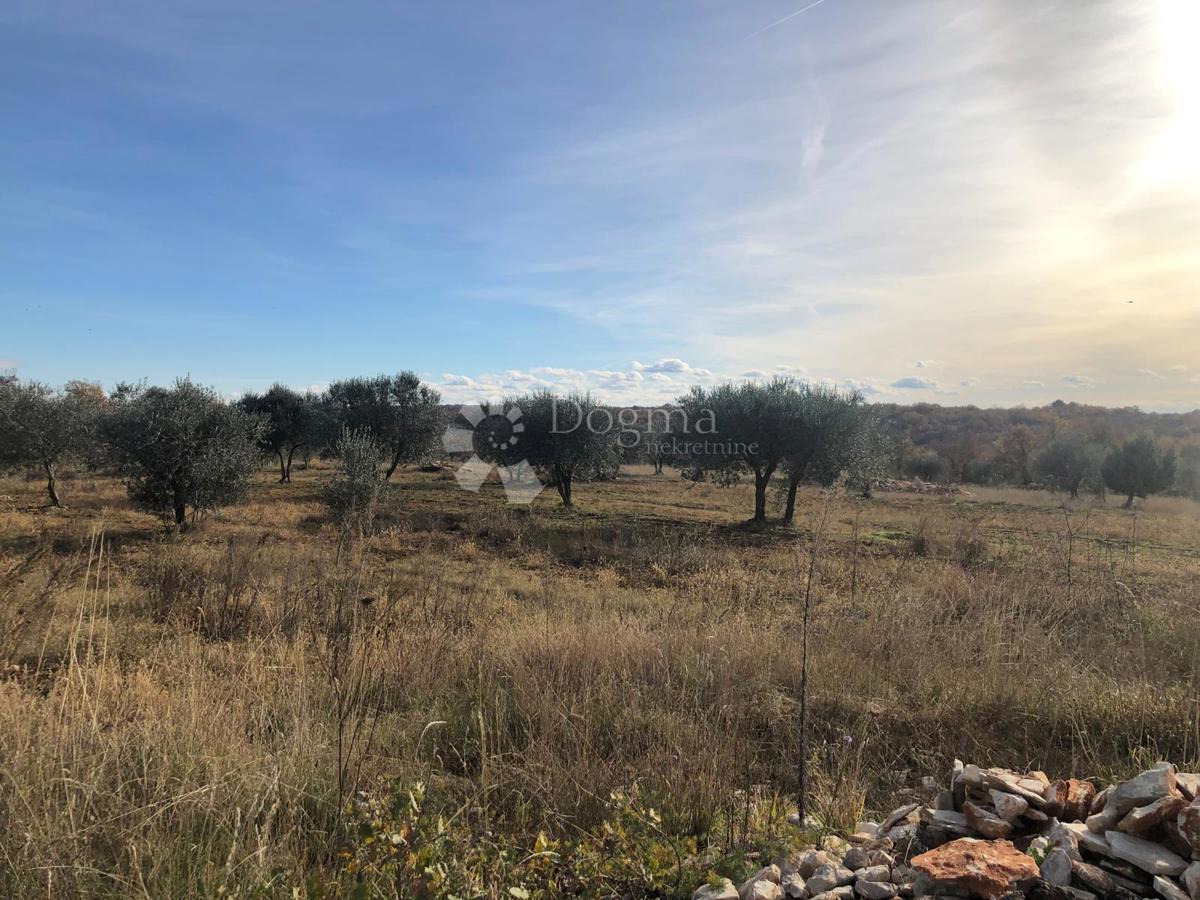 Terreno edificabile Umag, 9.375m2