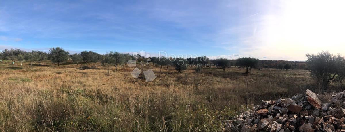 Terreno edificabile Umag, 9.375m2