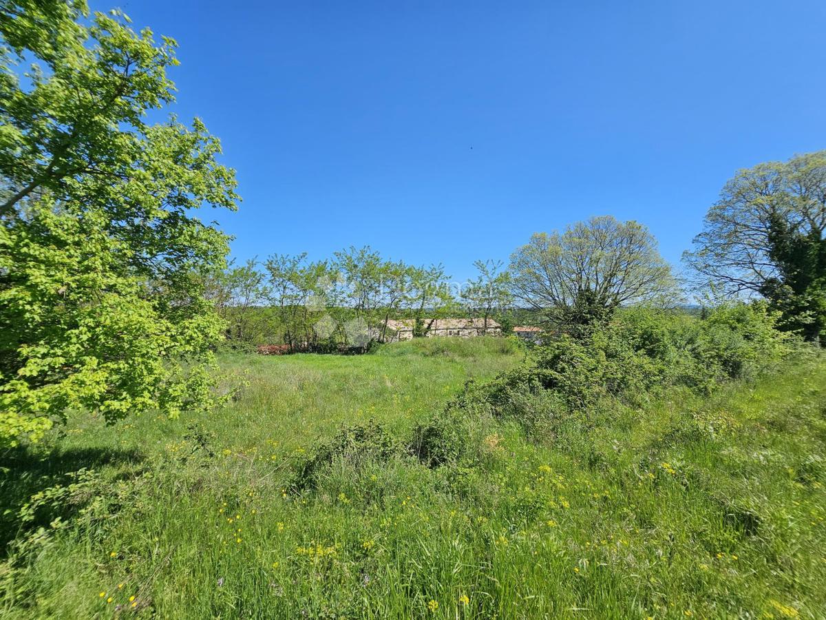 Terreno edificabile Grožnjan,