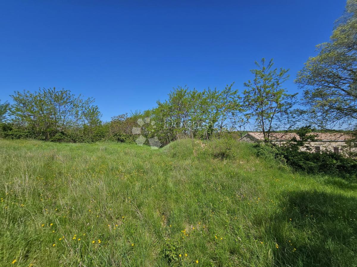 Terreno edificabile Grožnjan,