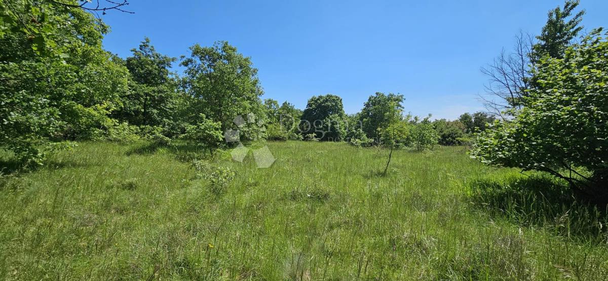 Terreno agricolo Kranjčići, Svetvinčenat, 26.232m2