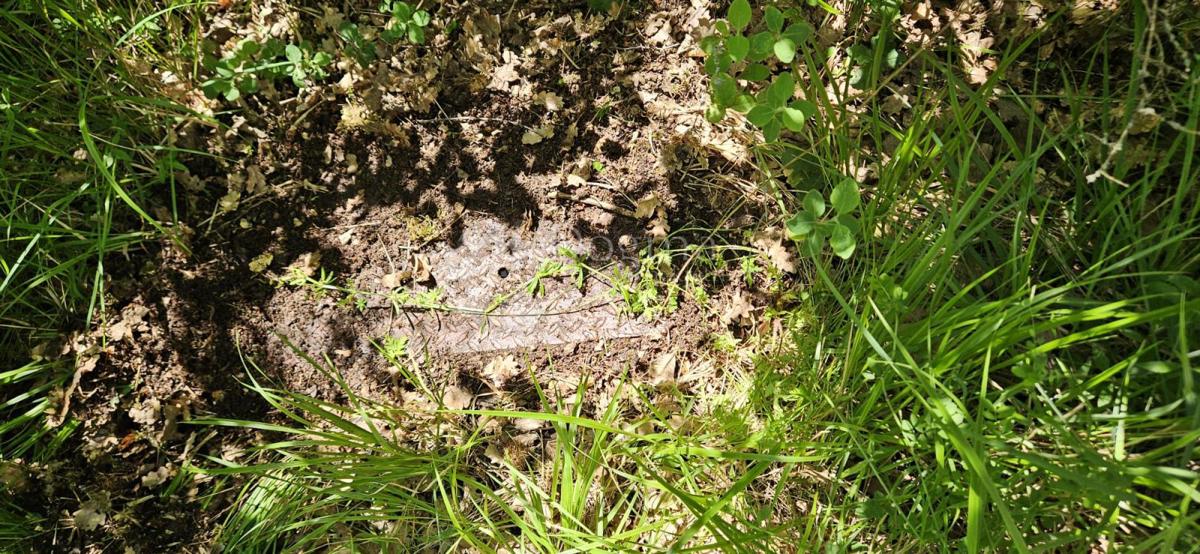 Terreno agricolo Kranjčići, Svetvinčenat, 26.232m2