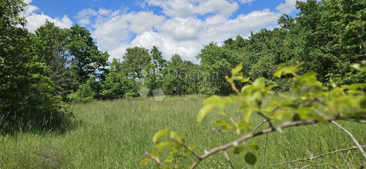 Terreno agricolo Kranjčići, Svetvinčenat, 26.232m2