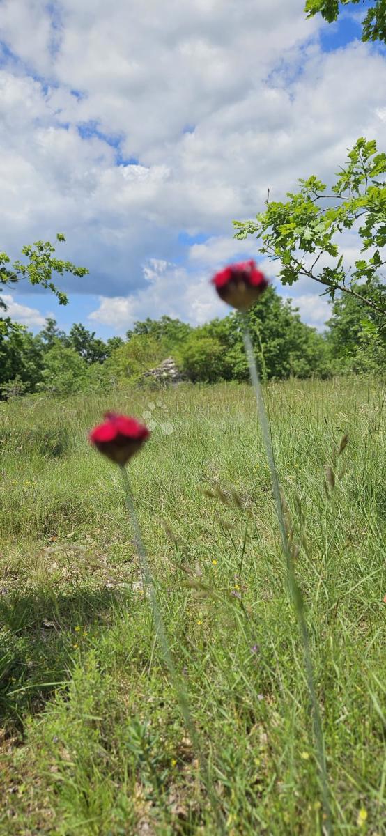 Terreno agricolo Kranjčići, Svetvinčenat, 26.232m2