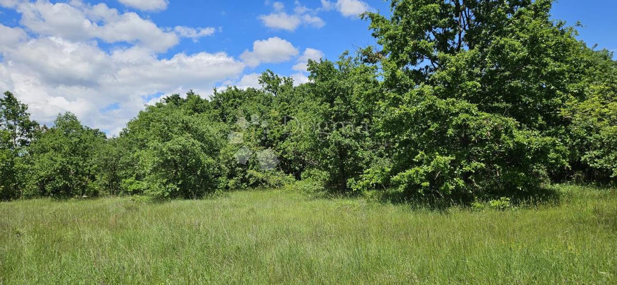 Terreno agricolo Kranjčići, Svetvinčenat, 26.232m2