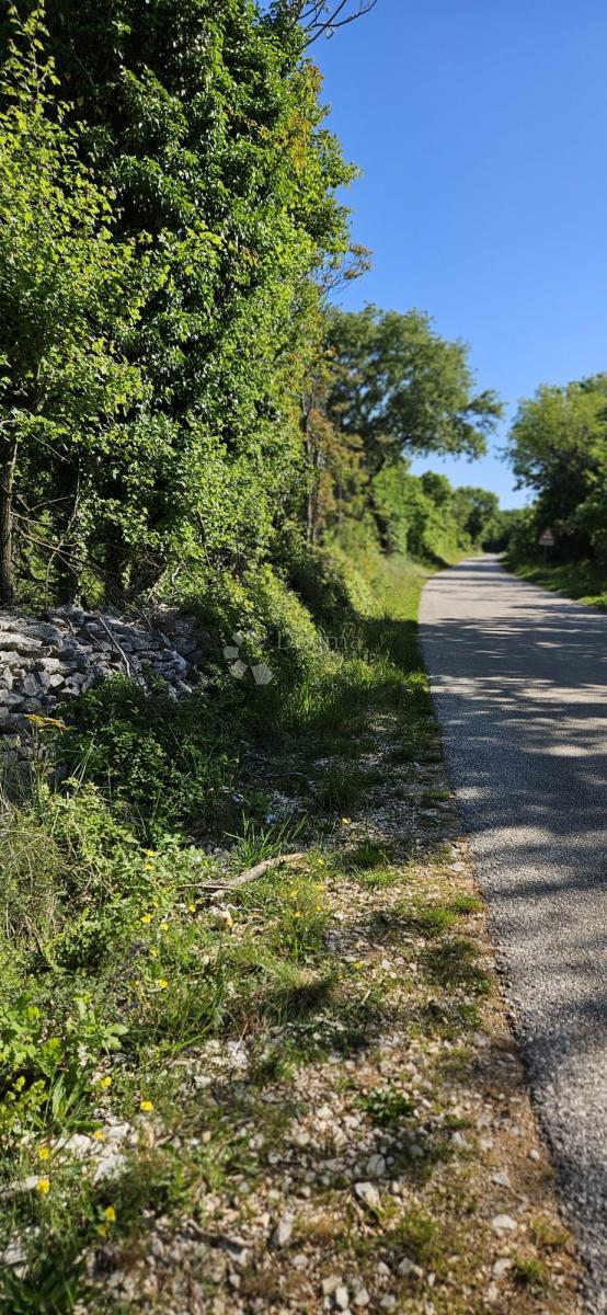 Terreno agricolo Kranjčići, Svetvinčenat, 26.232m2
