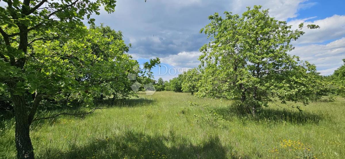 Terreno agricolo Kranjčići, Svetvinčenat, 26.232m2