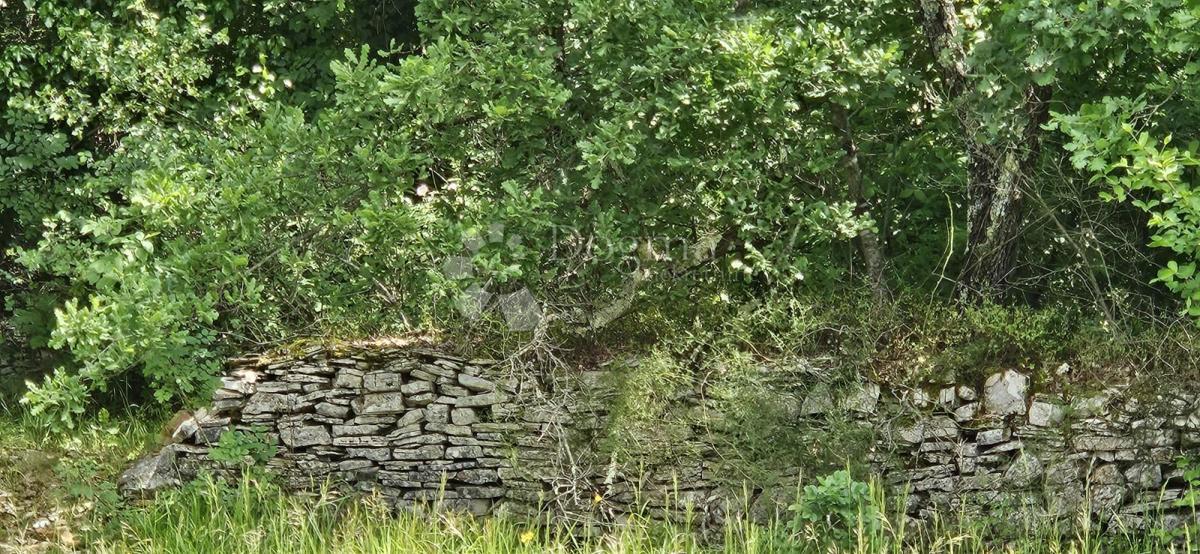 Terreno agricolo Kranjčići, Svetvinčenat, 26.232m2