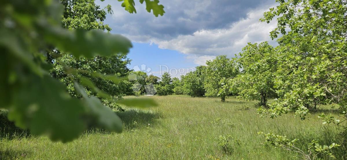 Terreno agricolo Kranjčići, Svetvinčenat, 26.232m2