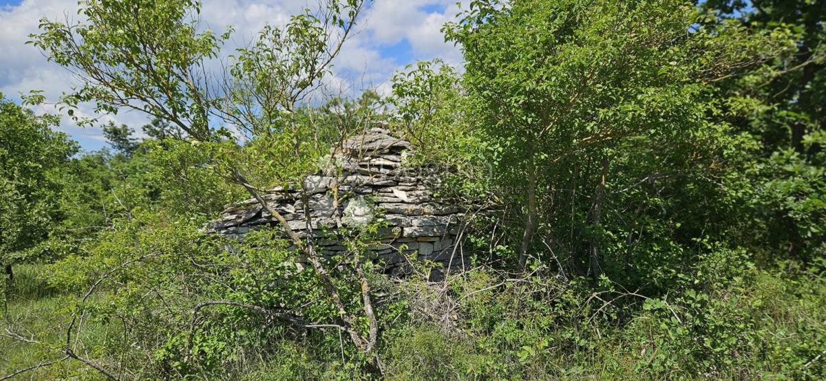 Terreno agricolo Kranjčići, Svetvinčenat, 26.232m2