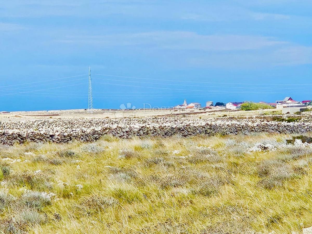 Terreno agricolo Povljana, 7.826m2