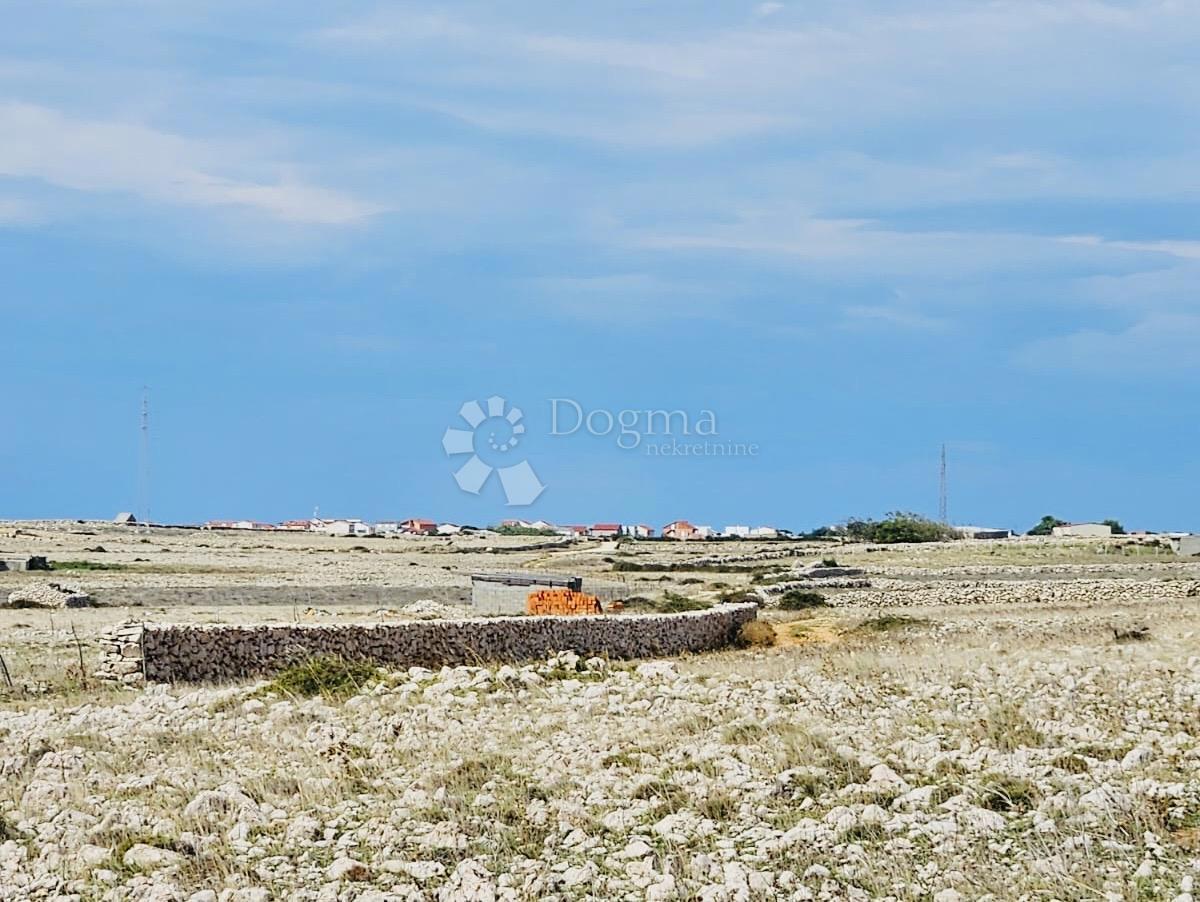 Terreno agricolo Povljana, 7.826m2