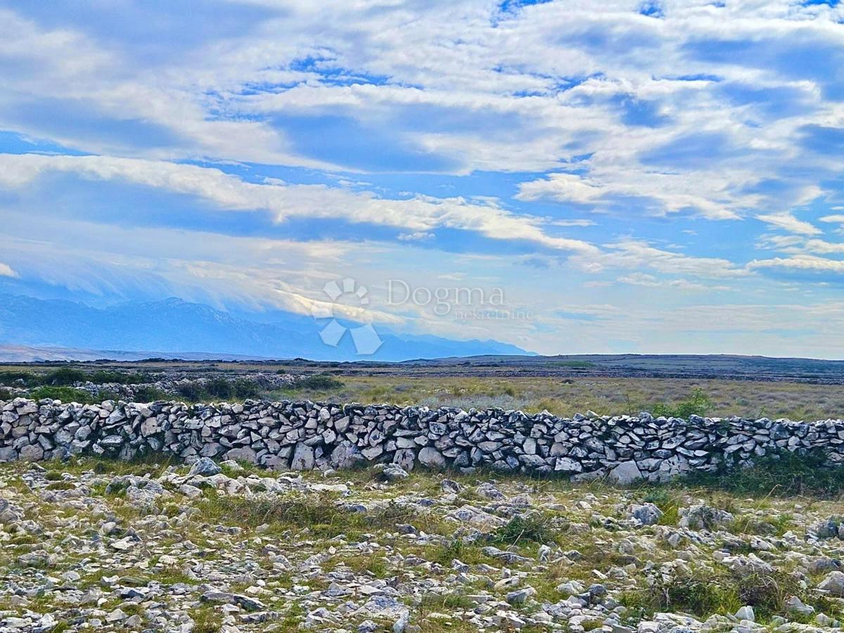 Terreno agricolo Povljana, 7.826m2