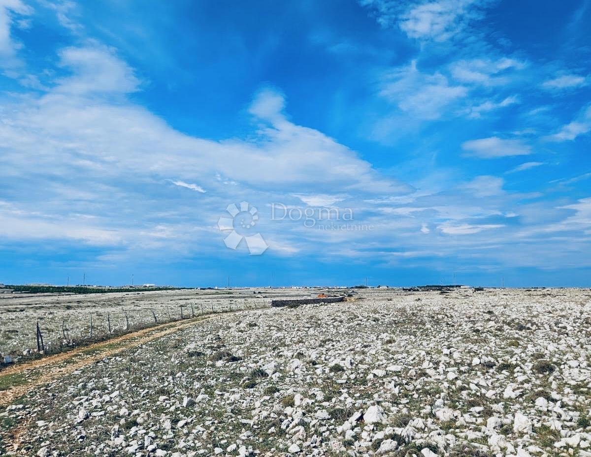 Terreno agricolo Povljana, 7.826m2