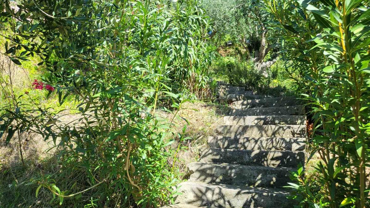 Rtina – prima fila al mare, terreno con casa e uliveto