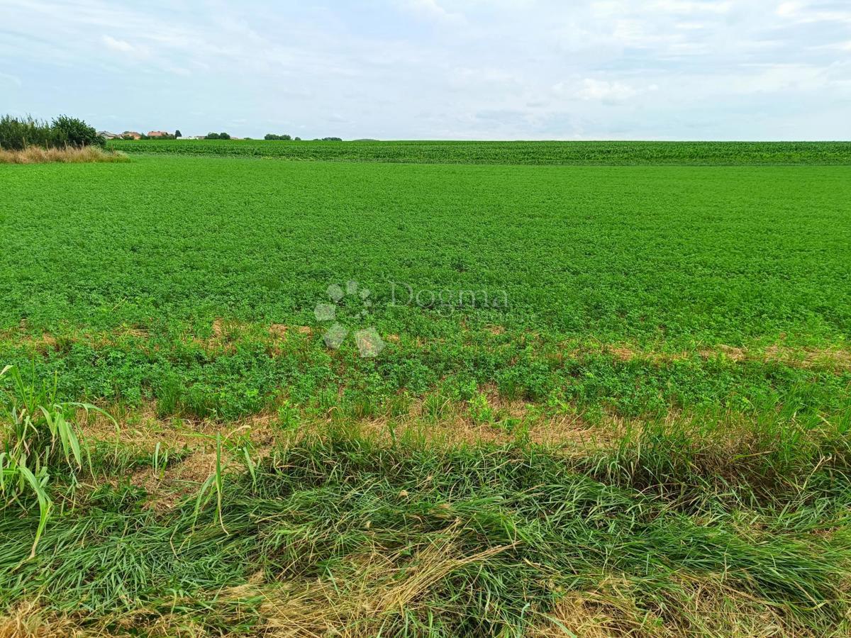 Terreno agricolo Borovo, 8.505m2