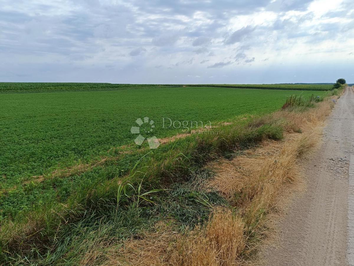 Terreno agricolo Borovo, 8.505m2