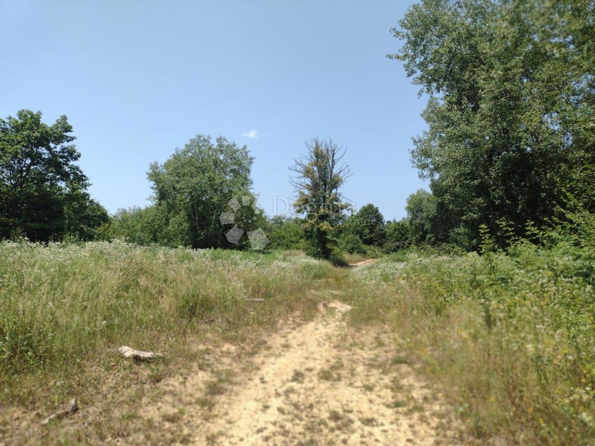 Terreno agricolo Dugo Selo Lasinjsko, Gvozd, 11.505m2
