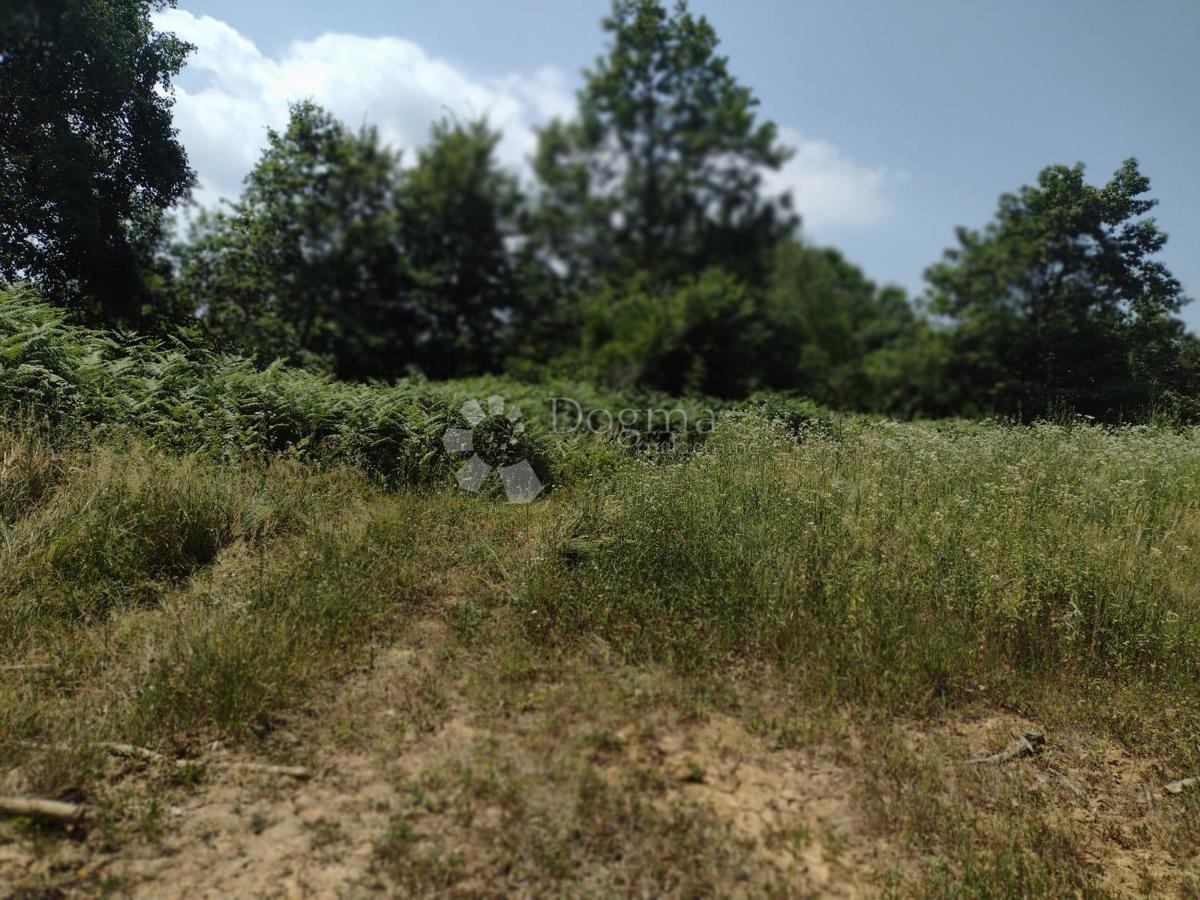 Terreno agricolo Dugo Selo Lasinjsko, Gvozd, 11.505m2