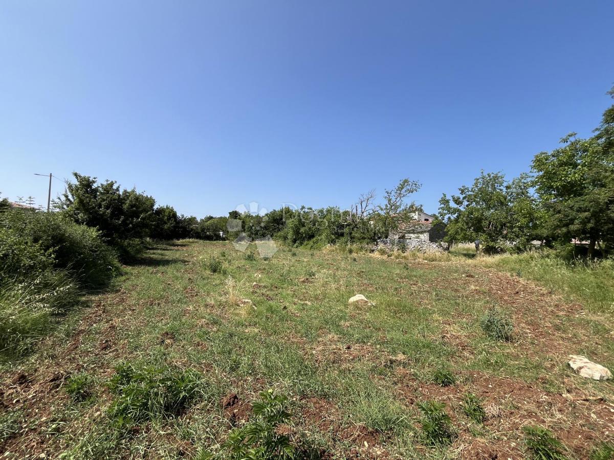 DINTORNI DI VIŠNJAN, TERRENO EDIFICABILE NELLA POSIZIONE RICHIESTA