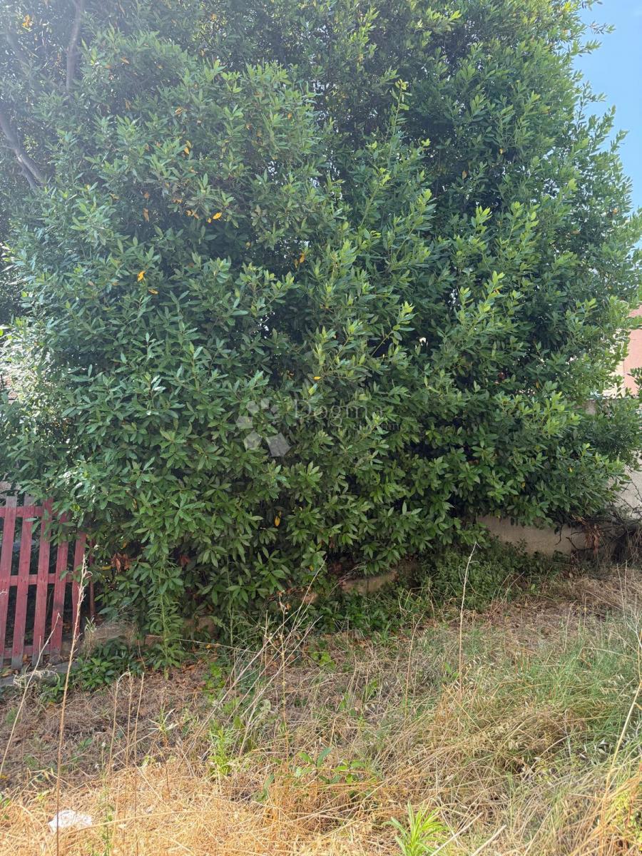 Allogio Centar, Pula, 150m2