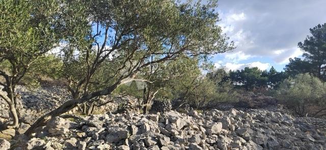 Terreno agricolo Krk, 4.032m2