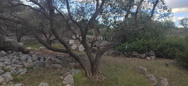 Terreno agricolo Krk, 4.032m2