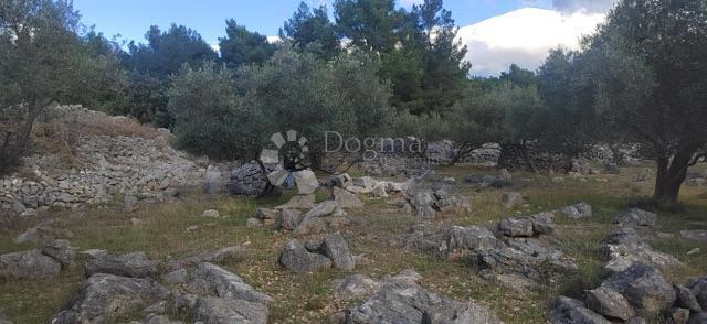 Terreno agricolo Krk, 4.032m2