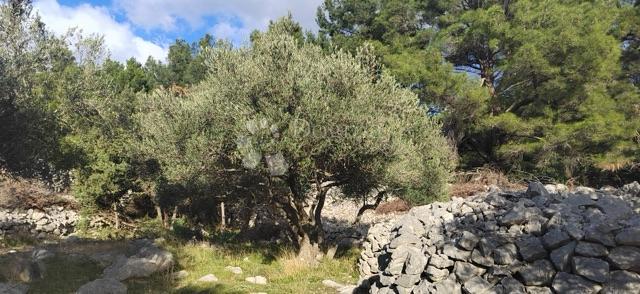 Terreno agricolo Krk, 4.032m2