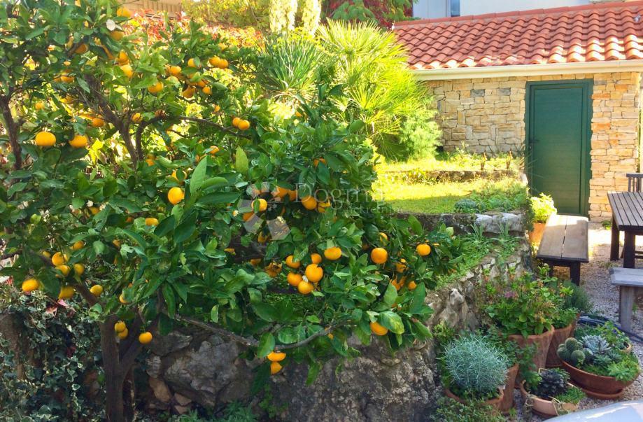 Casa Brodarica, Šibenik - Okolica, 465m2