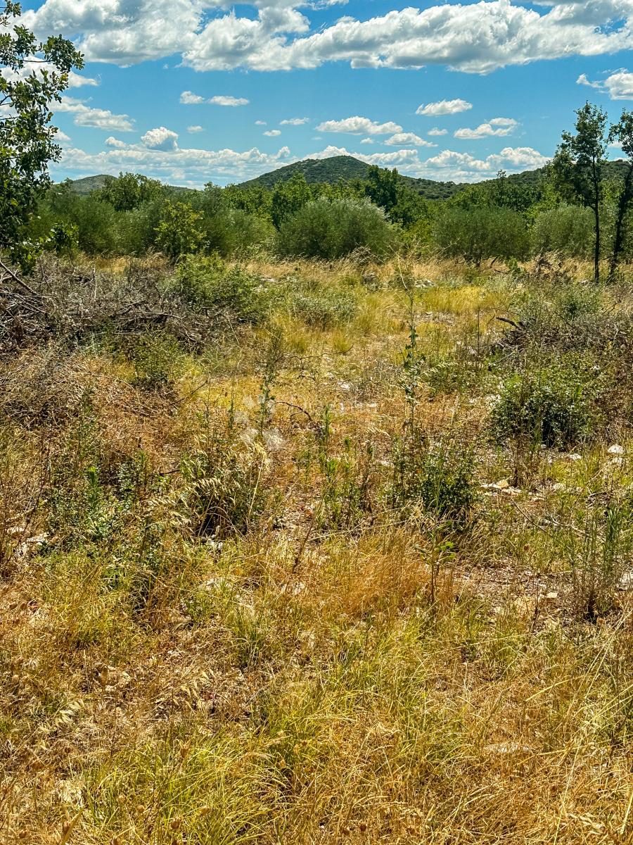 Terreno edificabile Polača, 906m2