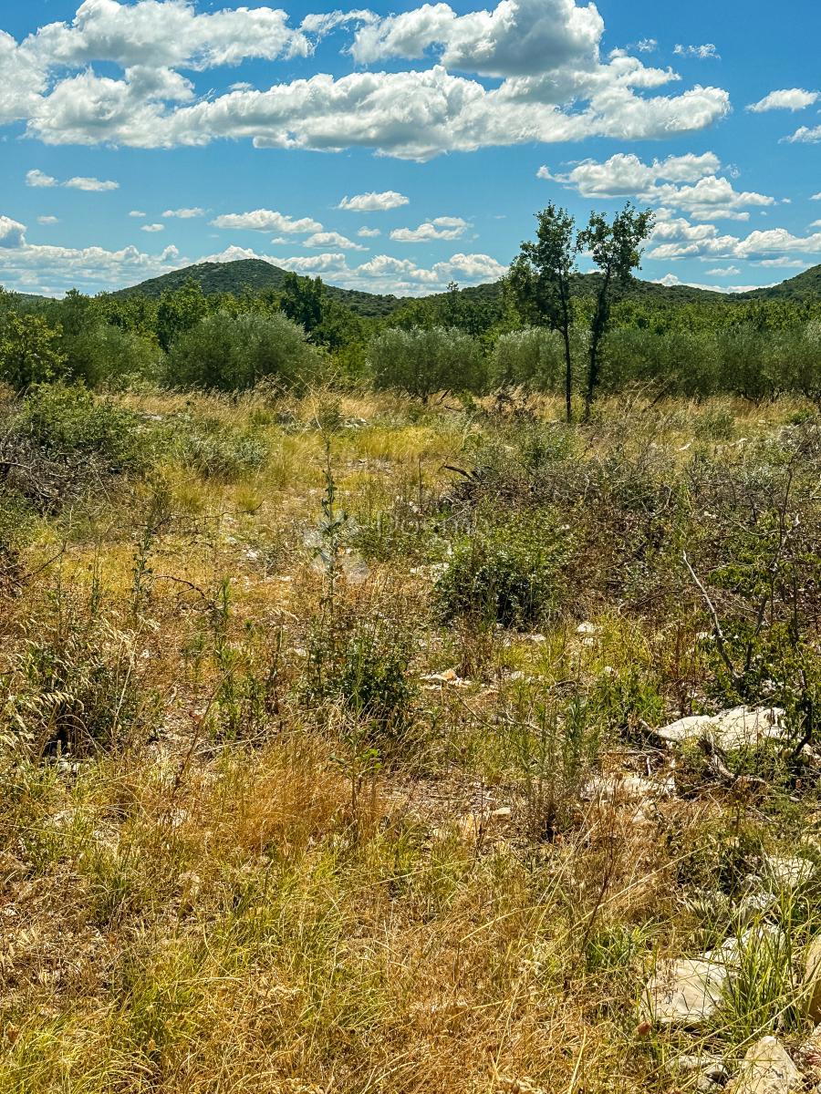 Terreno edificabile Polača, 906m2