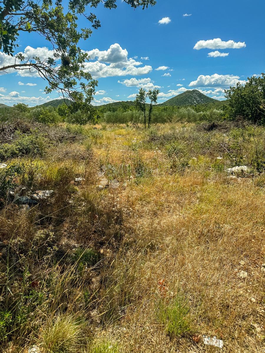 Terreno edificabile Polača, 906m2