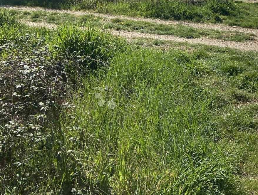 Terreno edificabile Poreč, 724m2