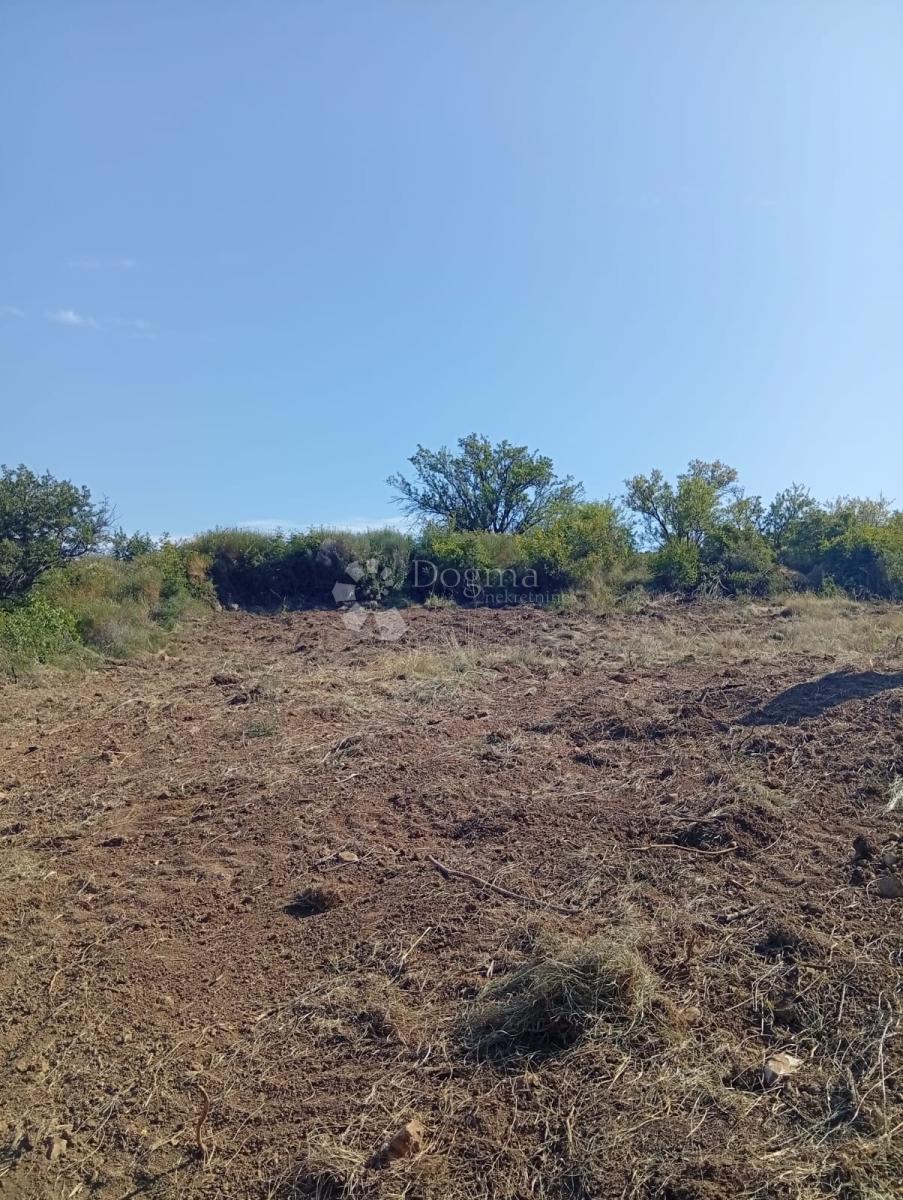 Casa in pietra da ristrutturare e terreno nella pace di Ravni Kotari