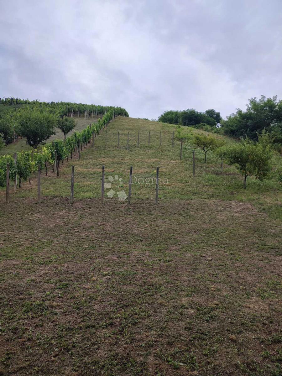 Casa Gornje Vratno, Cestica, 166,58m2