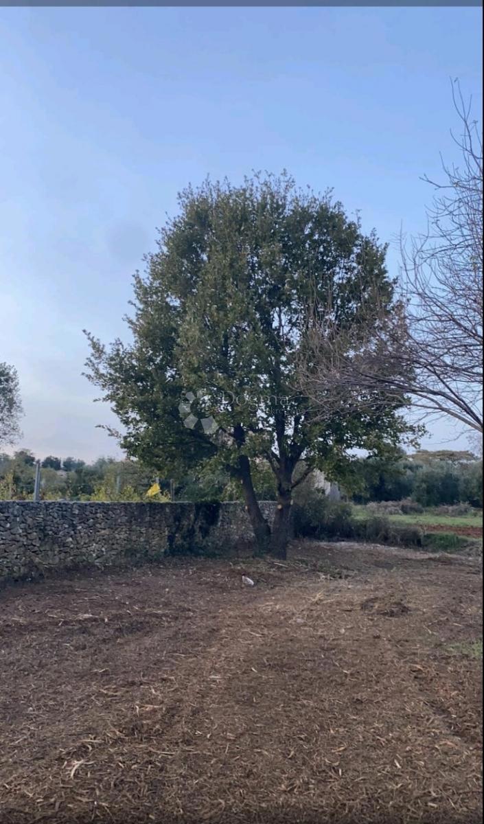 Terreno edificabile Rakalj, Marčana, 1.540m2