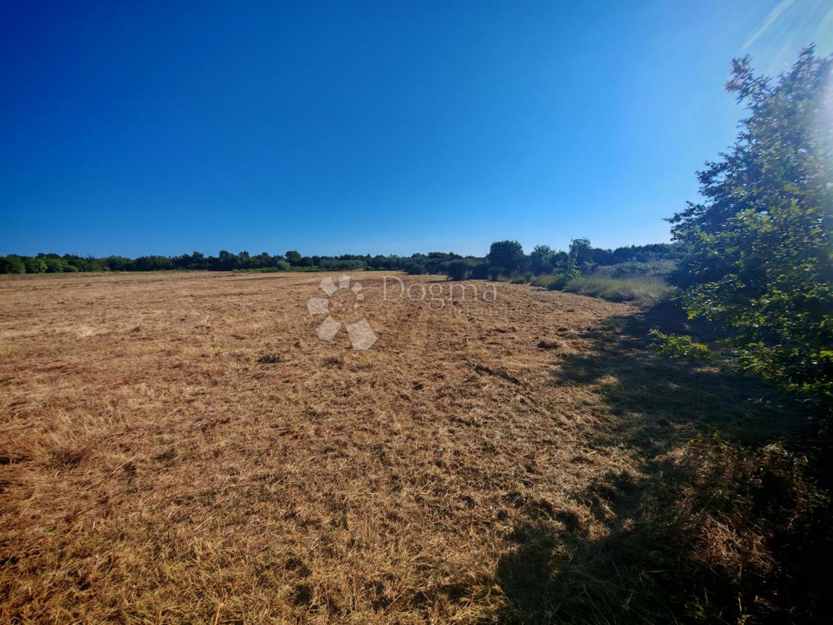 Terreno edificabile Marčana, 4.175m2