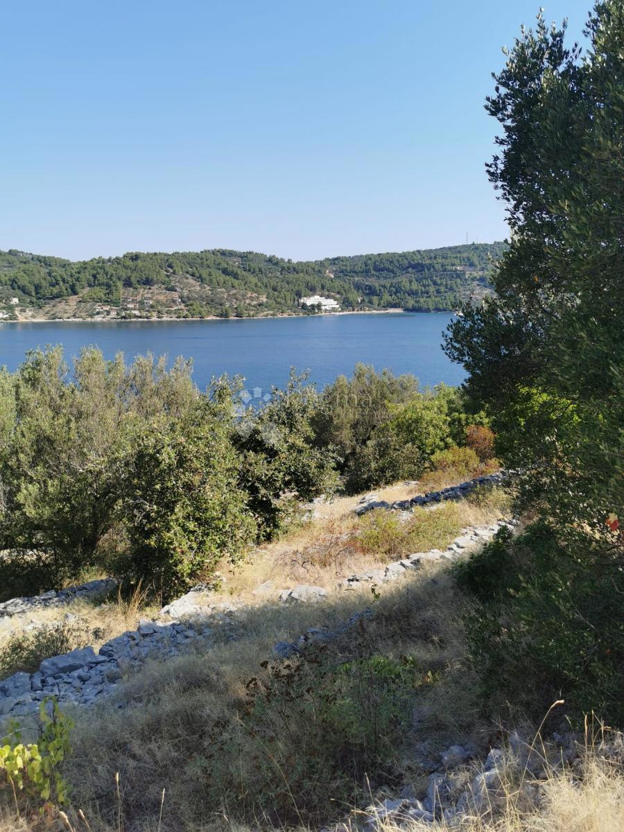 Terreno edificabile Vela Luka, 1.363m2