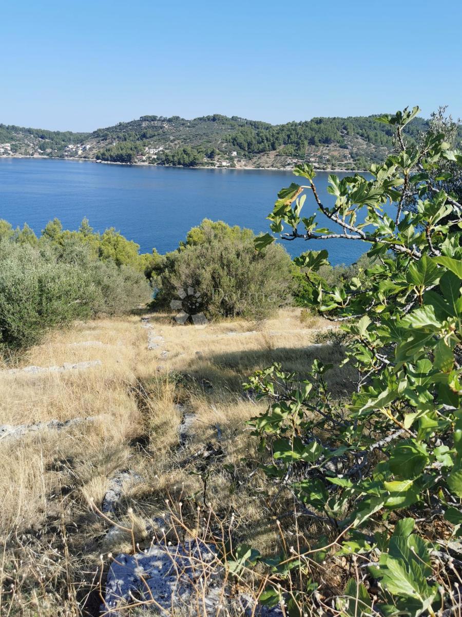Terreno edificabile Vela Luka, 1.363m2