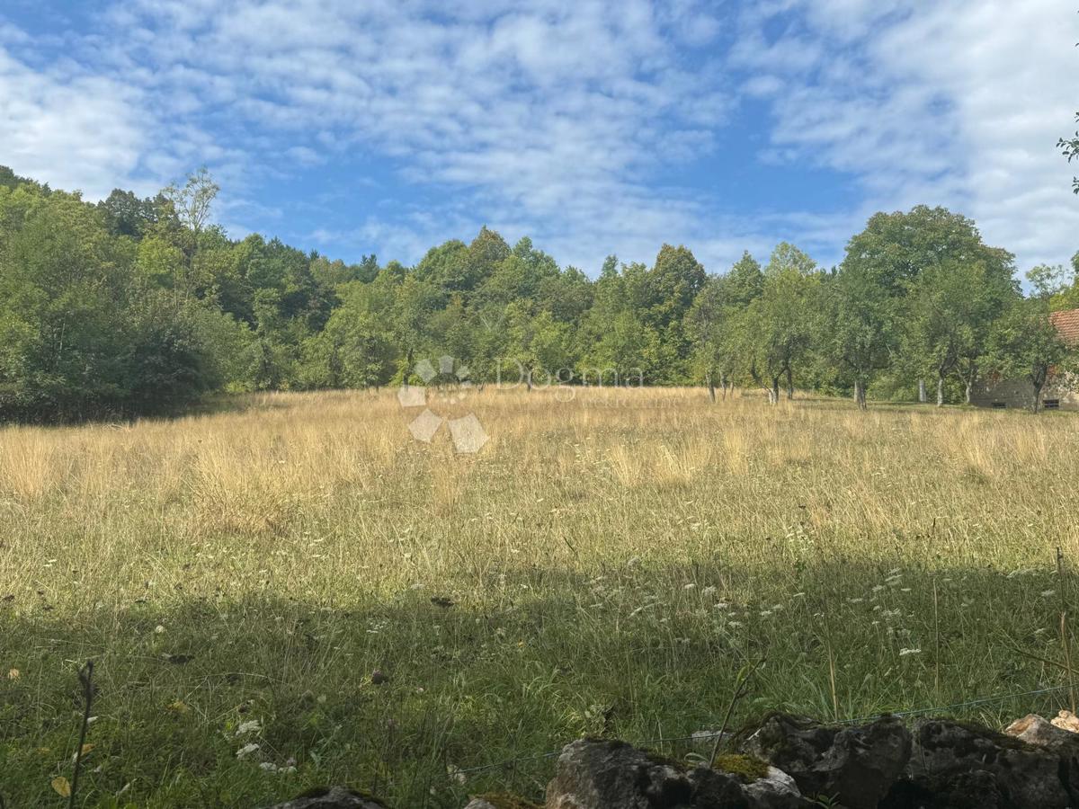 Terreno agricolo Perušić, 20.116m2