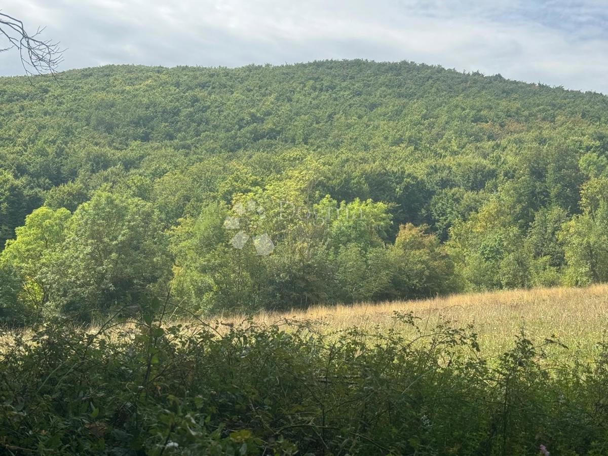 Terreno agricolo Perušić, 20.116m2