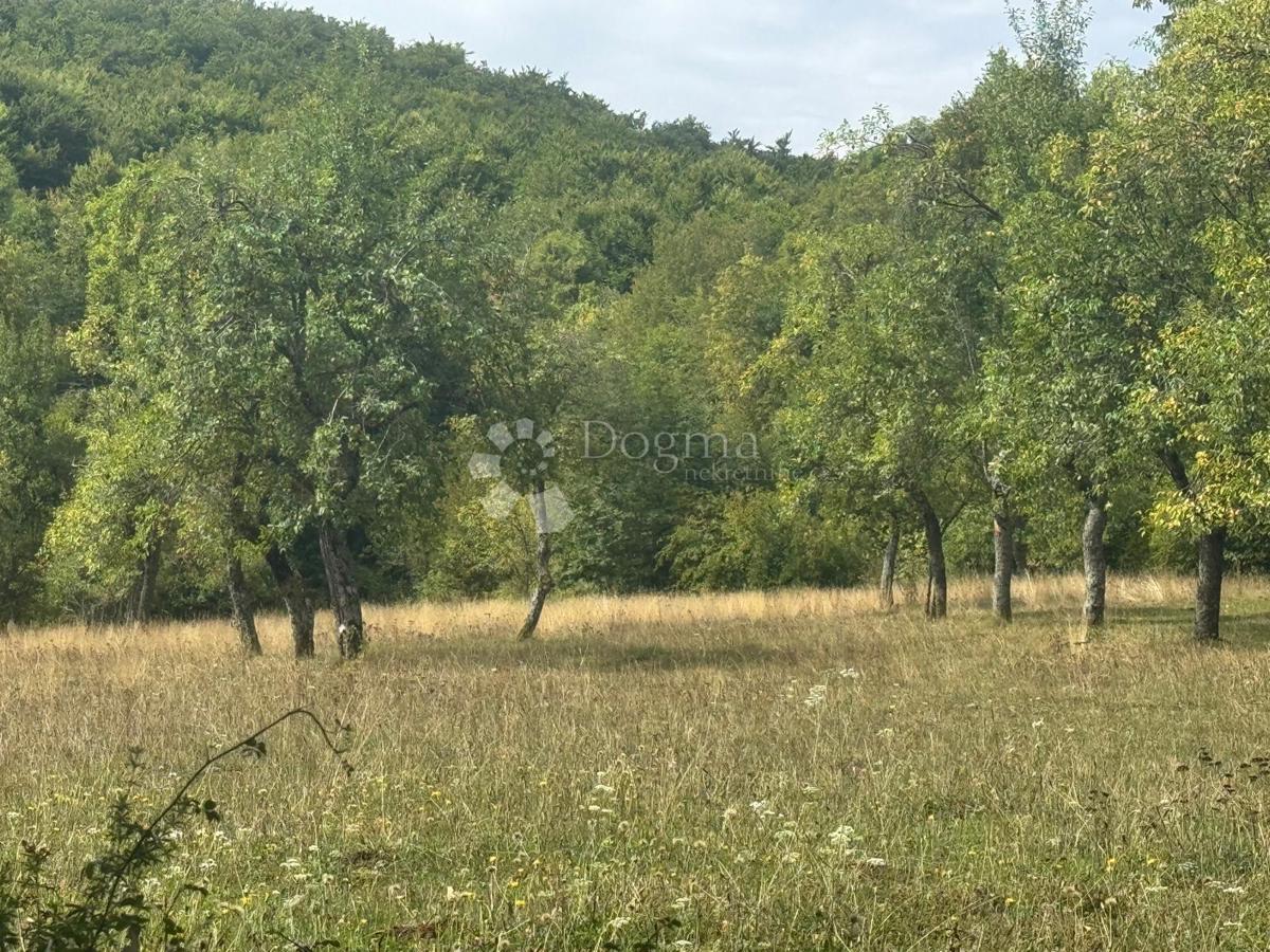 Terreno agricolo Perušić, 20.116m2