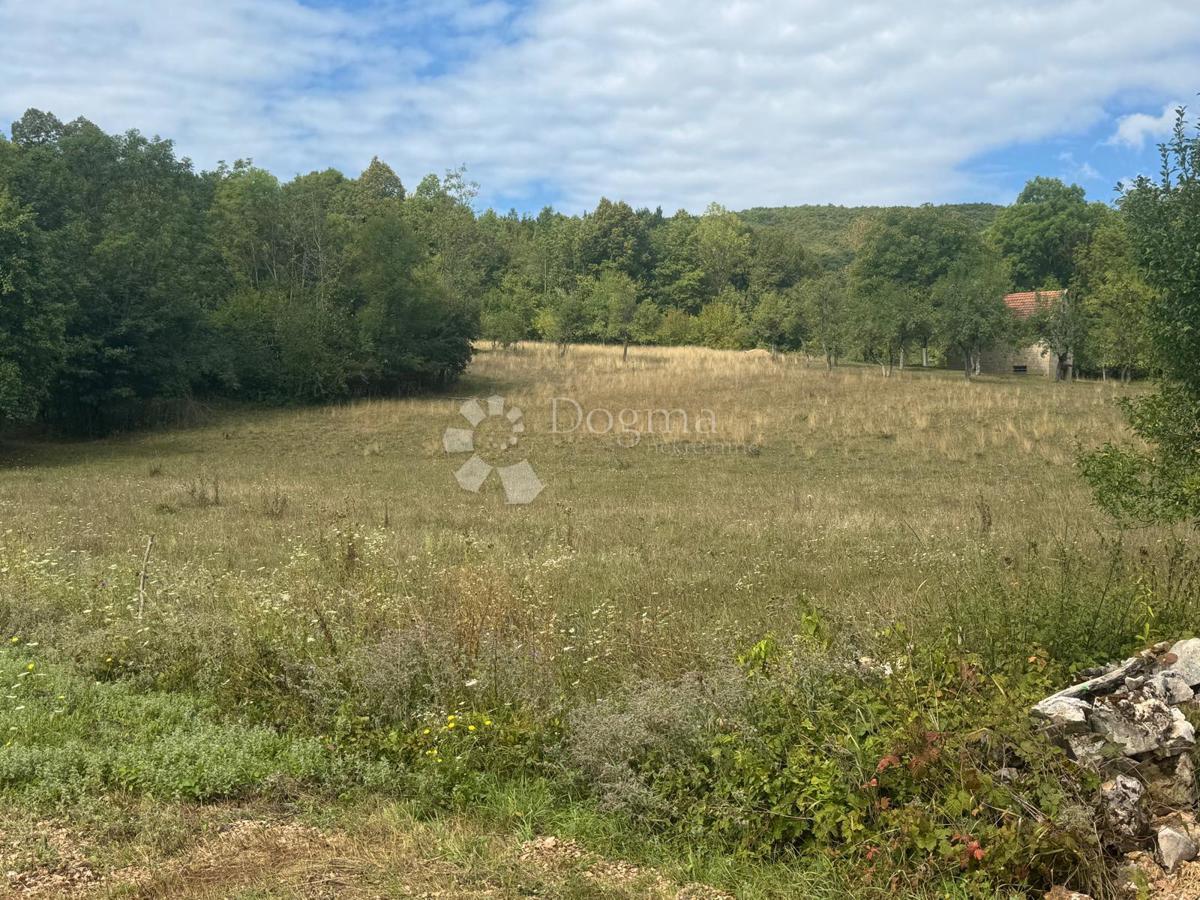 Terreno agricolo Perušić, 20.116m2