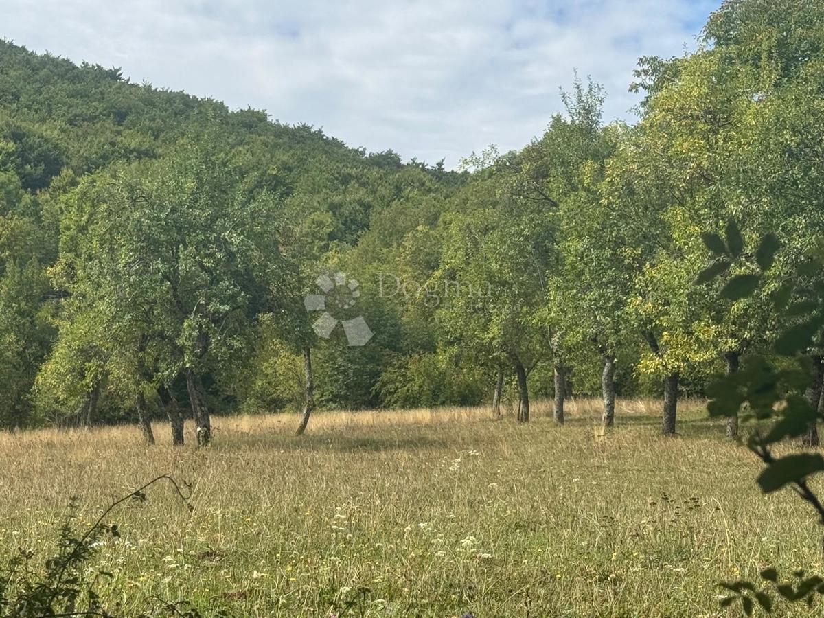 Terreno agricolo Perušić, 20.116m2