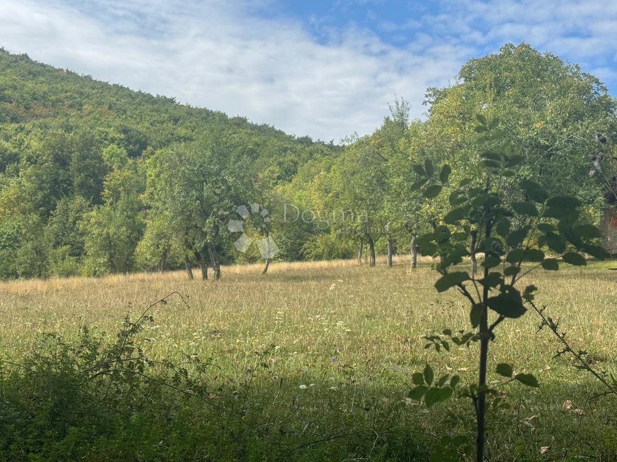 Terreno agricolo Perušić, 20.116m2