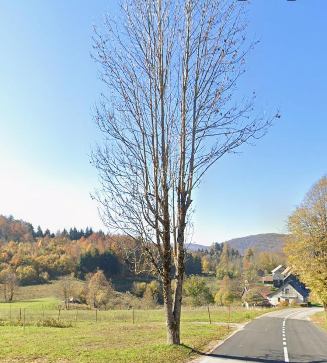 Terreno edificabile Stari Laz, Ravna Gora, 1.500m2